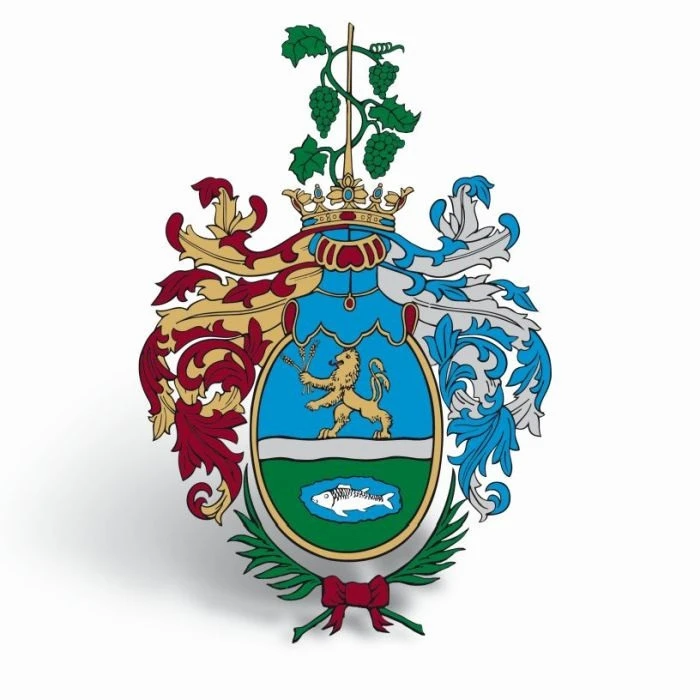 A Békéscsabai Helyi Választási Bizottság 1/2023. (IX.29.) számú határozata